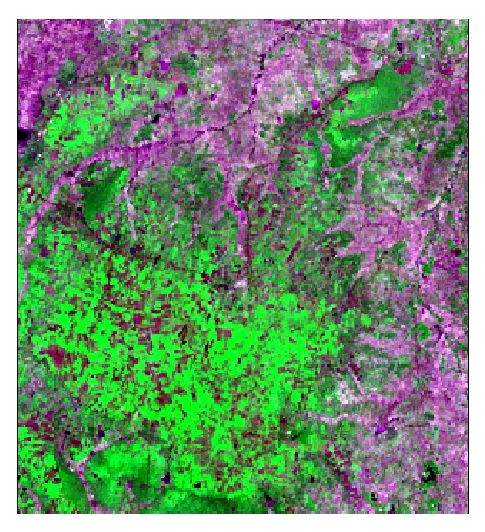 Landsat MSS: December 28, 1995